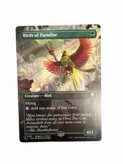 Birds of Paradise (Borderless) Commander: Bloomburrow Regular - Image 1