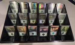 Magic: The Gathering - Basic Land Lot - Random Sets - FOIL Forest x5 - Image 2