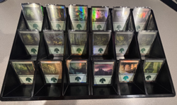 Magic: The Gathering - Basic Land Lot - Random Sets - FOIL Forest x5 - Image 3