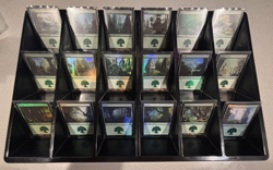 Magic: The Gathering - Basic Land Lot - Random Sets - FOIL Forest x5 - Image 4