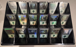 Magic: The Gathering - Basic Land Lot - Random Sets - FOIL Forest x5 - Image 5