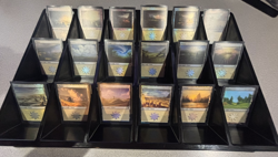 Magic: The Gathering - Basic Land Lot - Random Sets - FOIL Plains x5 - Image 3
