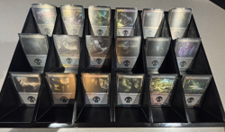 Magic: The Gathering - Basic Land Lot - Random Sets - FOIL Swamp x5 - Image 1