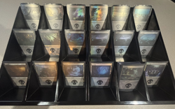 Magic: The Gathering - Basic Land Lot - Random Sets - FOIL Swamp x5 - Image 5