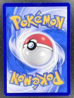 Eevee V 0113/15 CBB2C Chinese Gem Pack Volume 2 Pokemon NM [US SELLER] - Image 2