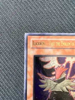 Yugioh Blackwing - Vayu the Emblem of Honor 1st Ed Ultimate Rare ANPR-EN005 NM - Image 5