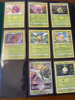 Pokemon TCG Silver Tempest Binder Partial Master Set With Hits And Reverse Holo - Image 1