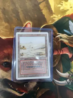 Magic the Gathering Badlands Revised Edition LP - Image 3