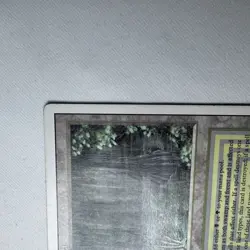 Magic The Gathering Bayou Dual Land Revised Edition Moderate Play Rare MP - Image 4