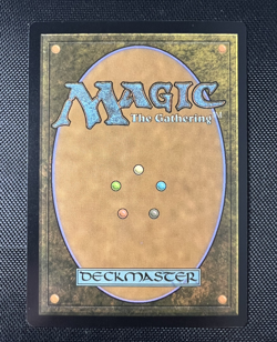 MTG Adeline Resplendent Cathar 312 Regular Showcase Innistrad Midnight Hunt NM - Image 2