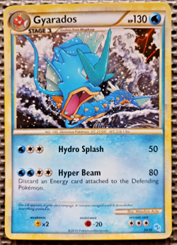 2010 Pokemon HGSS Gyarados & Raichu Trainer kit #30 Gyarados Holo LP - Image 1