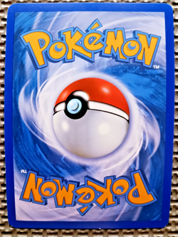 2010 Pokemon HGSS Gyarados & Raichu Trainer kit #30 Gyarados Holo LP - Image 2