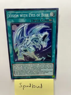 Vision With Eyes Of Blue Super Rare BACh-EN050 (LP 1st Ed) - Image 1