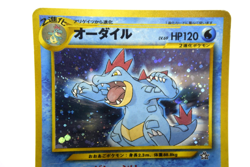 Pokemon TCG Feraligatr Neo Premium File 1 Holo lv.69 HP120 No.160 (Japanese) - Image 5