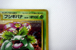 Pokemon Venusaur intro pack Bulbasaur Deck Holo lv.67 HP100 No.003 (Japanese) - Image 4