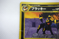 Pokemon TCG Umbreon Neo Premium File 2 Promo & Eevee Set of 2 (Japanese) - Image 5