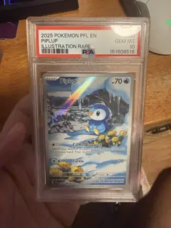 2025 POKEMON PFL EN-PHANTASMAL FLAMES ILLUSTRATION RARE #098 PIPLUP PSA 10 - Image 1