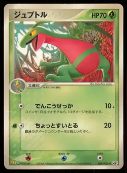 GROVYLE 081/PCG-P MCDONALDS POKEMON JAPANESE PROMO MP - Image 2