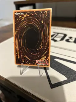 Yu-Gi-Oh TCG Dark Magician Girl CT2-EN004 Limited Edition Secret Rare Card - Image 5