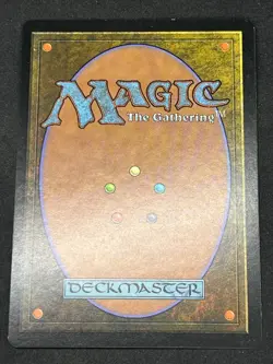 Magic the Gathering MTG Hickory Woodlot Land Mercadian Masques Common - Image 2