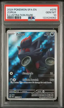 PSA 10💫 | 2024 Pokemon TCG | Shrouded Fable | Zorua 075/064 | Illustration Rare - Image 1