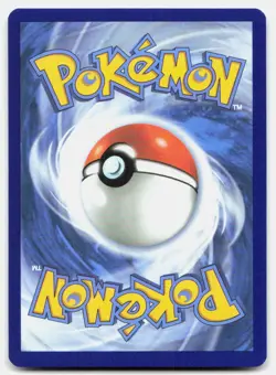 Raboot (Energy Symbol Pattern) 037/217 Reverse Holo Pokemon NM - Image 2