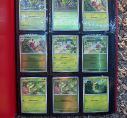 Pokemon Perfect Order Complete Master Set including holo/reverse- ex and 5 irs - Image 1