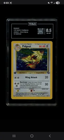 Pidgeot Jungle 1st Edition Holo Rare TAG 8.5 8/64 1999 Card - Image 1