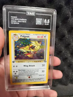 Pidgeot Jungle 1st Edition Holo Rare TAG 8.5 8/64 1999 Card - Image 4