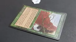 [MTG] - Bourgeonnement / Burgeoning FR1 [Magic The Gathering] - Image 3