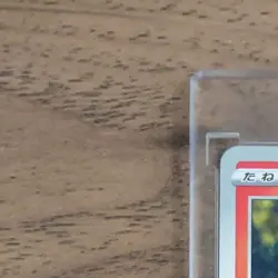 Pokemon Growlithe C 014/070 S1a VMAX Rising Japanese Card - Image 3