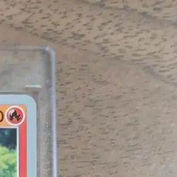 Pokemon Growlithe C 014/070 S1a VMAX Rising Japanese Card - Image 5