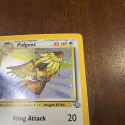 Pokemon TCG Pidgeot Jungle 8/64 Holo Unlimited Holo Rare WOTC LP - Image 5