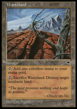 MTG Magic the Gathering Wasteland (330/350) Tempest LP - Image 1