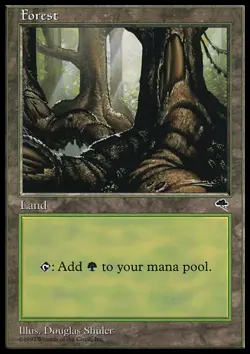 MTG Magic the Gathering Forest (348/350) Tempest LP - Image 1