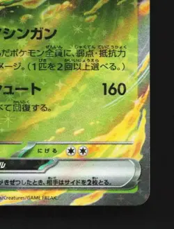 Arboliva ex 012/098 NM The Glory of Team Rocket Japanese Pokemon Card TCG - Image 3