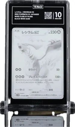 Pokemon TCG Reshiram ex 174/086 SV11W White Flare Holo BW Rare TAG 10 Japanese - Image 2