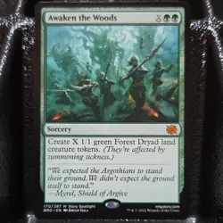Wizards of the Coast Magic: The Gathering Awaken The Woods The Brothers' War - Image 1