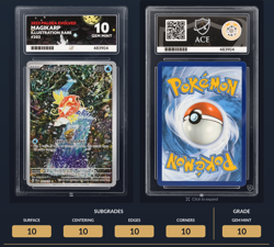 Magikarp 203/193 Paldea Evolved Illustration Rare Ace 10 PERFECT SUBGRADES - Image 4