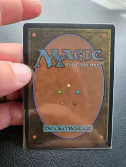 MTG Misty Rainforest Rare Fetch Land Zendikar Magic the Gathering EX Card - Image 2