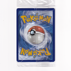 Scream Tail Scarlet & Violet Promo 065 - Black Star (Sealed) | Pokemon Card - Image 3