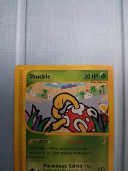 Pokemon Shuckle 96/144 Skyridge Regular NM Fast Ship - Image 3