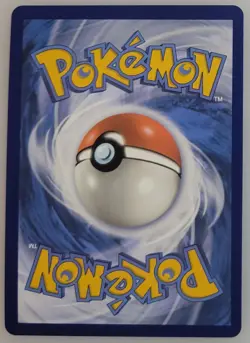 Lance's Charizard V SWSH133 Pokemon SWSH: Sword & Shield Promo Cards Holo NM - Image 2