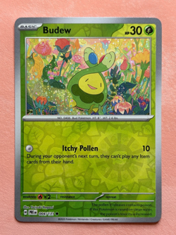 Budew~ Reverse holo~ Cute Baby Pokemon ~ the Nursery Room Gallery - Image 1