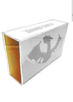 POKEMON CHARIZARD UPC ACRYLIC DISPLAY CASE MAGNETIC LID SWORD & SHIELD PREMIUM D - Image 2