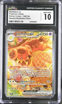 Dachsbun EX 169/142 CGC 10 English Stellar Crown Pokemon New - Image 3