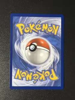 Pokemon TCG Mega Camerupt ex 022/132 Mega Evolution Holo NM - Image 2