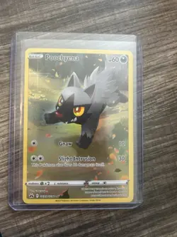 Pokemon Poochyena Holo GG33/GG70 Crown Zenith Galarian Gallery Ultra Rare 60 HP - Image 3