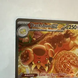 Dachsbun ex 169/142 Special Illustration Rare Stellar Crown Pokemon Near Mint - Image 2