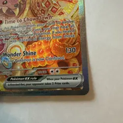 Dachsbun ex 169/142 Special Illustration Rare Stellar Crown Pokemon Near Mint - Image 4
